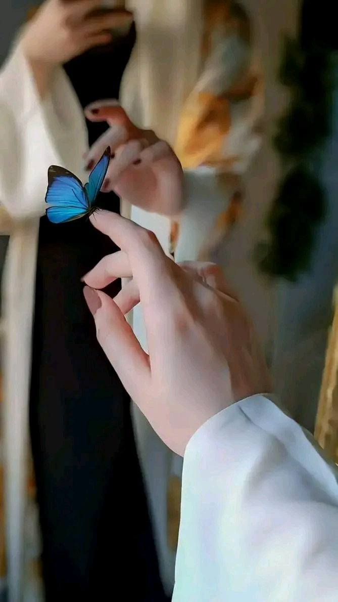 1701536828315.jpg