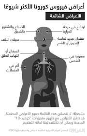 IMG_7704.png