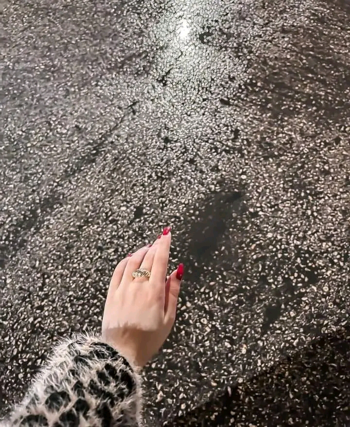 1703011490433.jpg