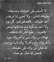 IMG_7784.jpeg