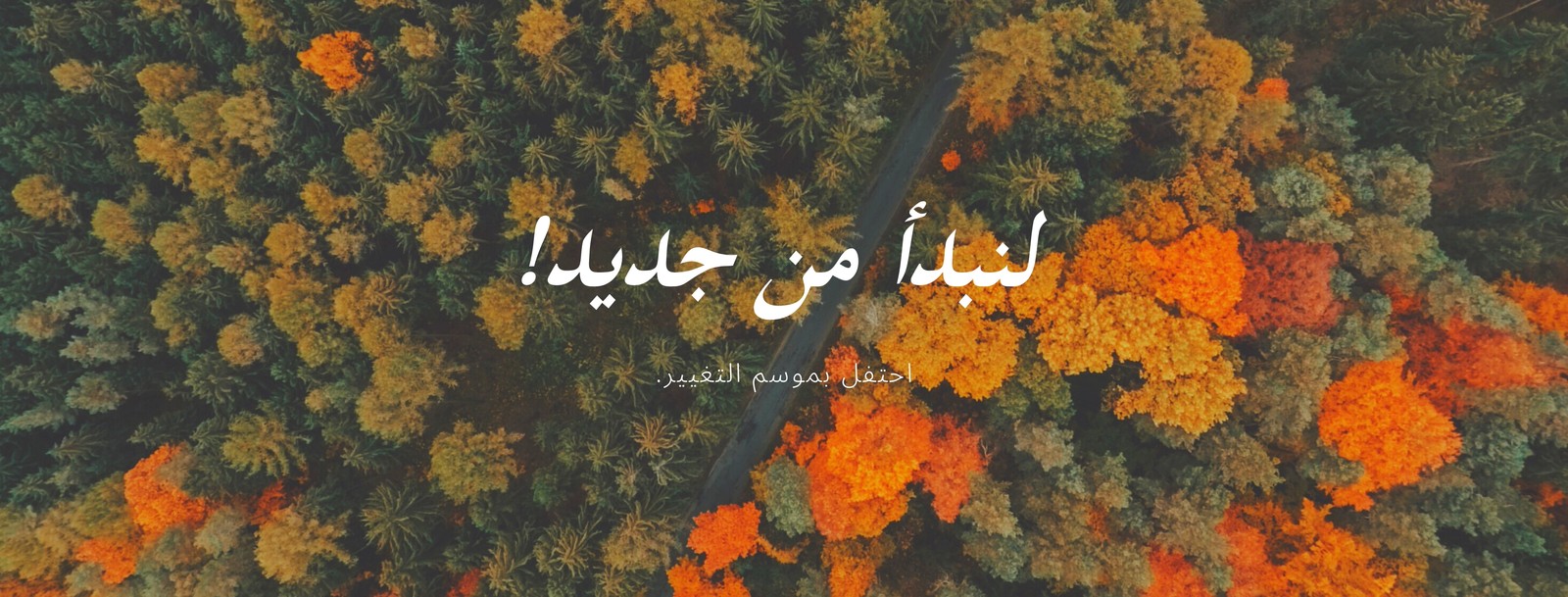 canva-غلاف-فيسبوك-برتقالي-وأخضر-غابة-خريف-OOtxebB4JfI.jpg