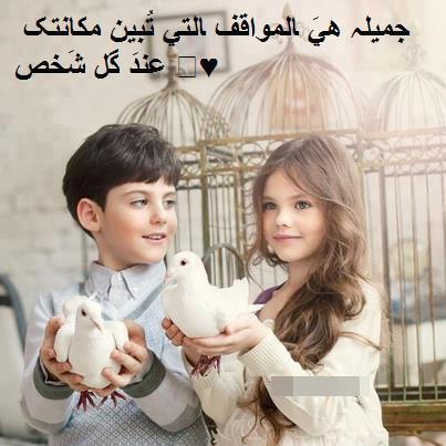 1706266862343.png