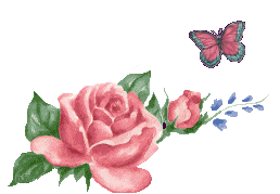 IMG_7583.gif