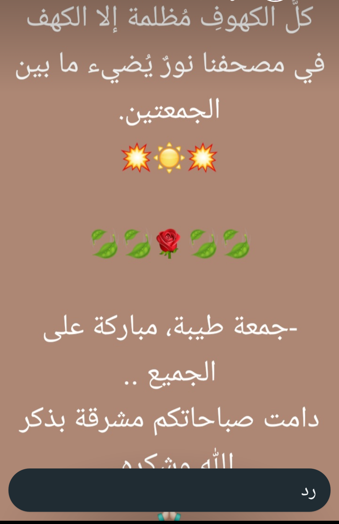 IMG_٢٠٢٤٠٥٠٢_٢٣٤٥٥٠.png