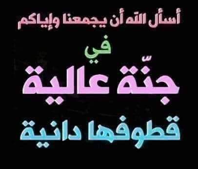 FB_IMG_1636753570671.jpg