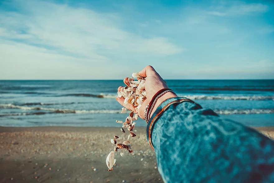 seashells-ocean-hand-shell-sand-beach-shore.jpg