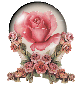 IMG_0461.gif