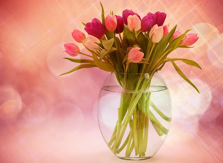 tulips-tulip-bouquet-flowers-bouquet-spring-spring-flower-pink-bloom-colorful.jpg