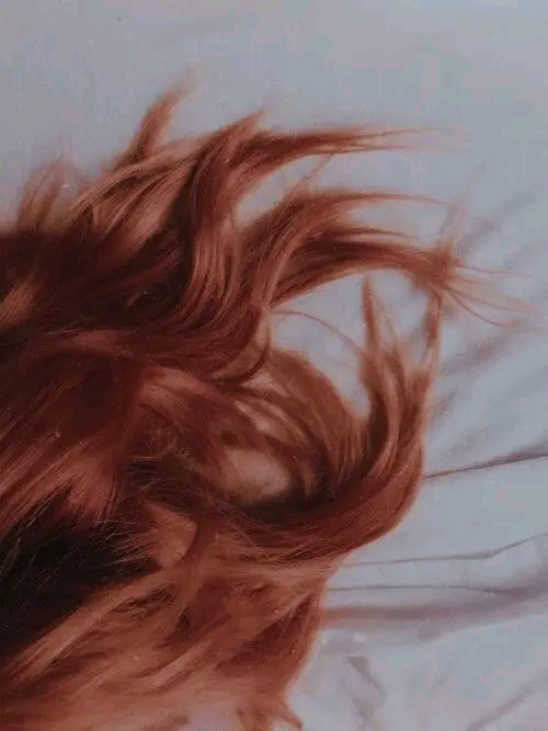 1725219038714.jpg