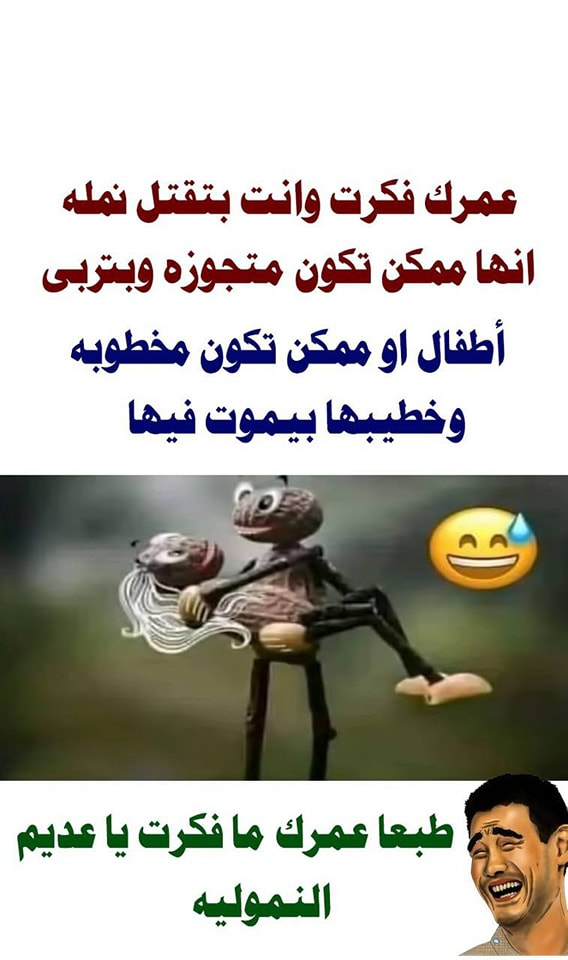 1728922323963.png