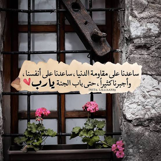 1732038708948.png