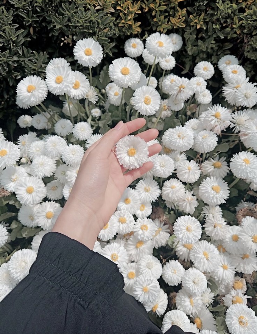 72D59AEB-E871-4195-A22E-1B0F7D2F30C4.jpeg