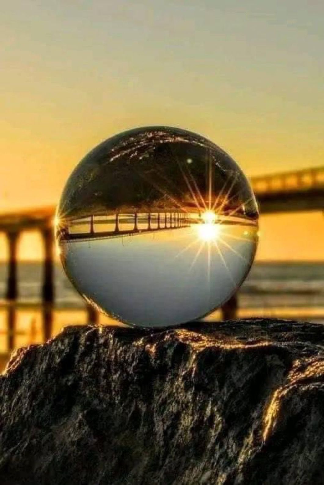 ٢٠٢٤١١٢٦_٠٥٠٢٤٩.jpg