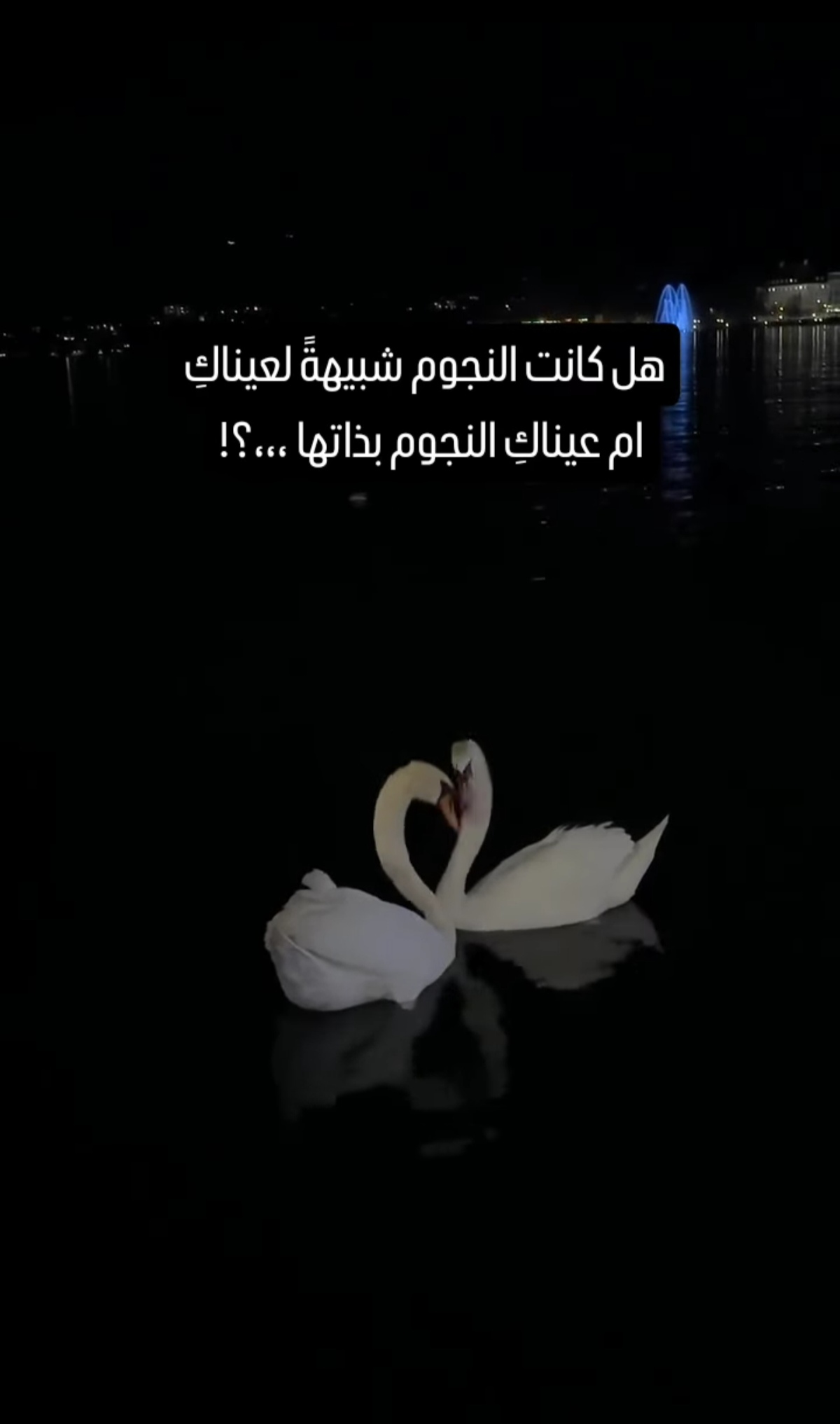 Screenshot_٢٠٢٤١٢٠٥_٠٦٥٤٥٨_com_instagram_android_ModalActivity_edit_208663119799358.jpg