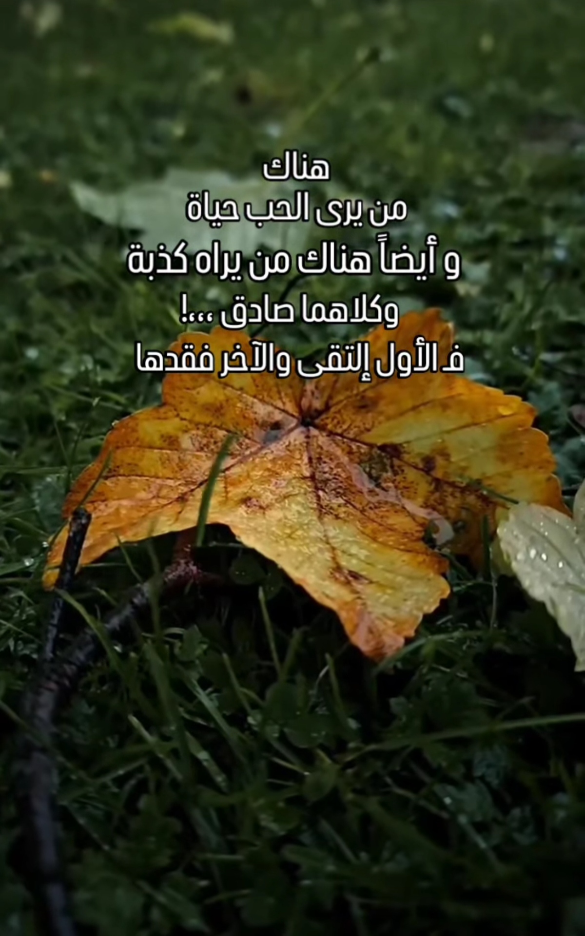 Screenshot_٢٠٢٤١٢٠٥_٠٦٥٢٢٠_com_instagram_android_ModalActivity_edit_71016641046710.jpg