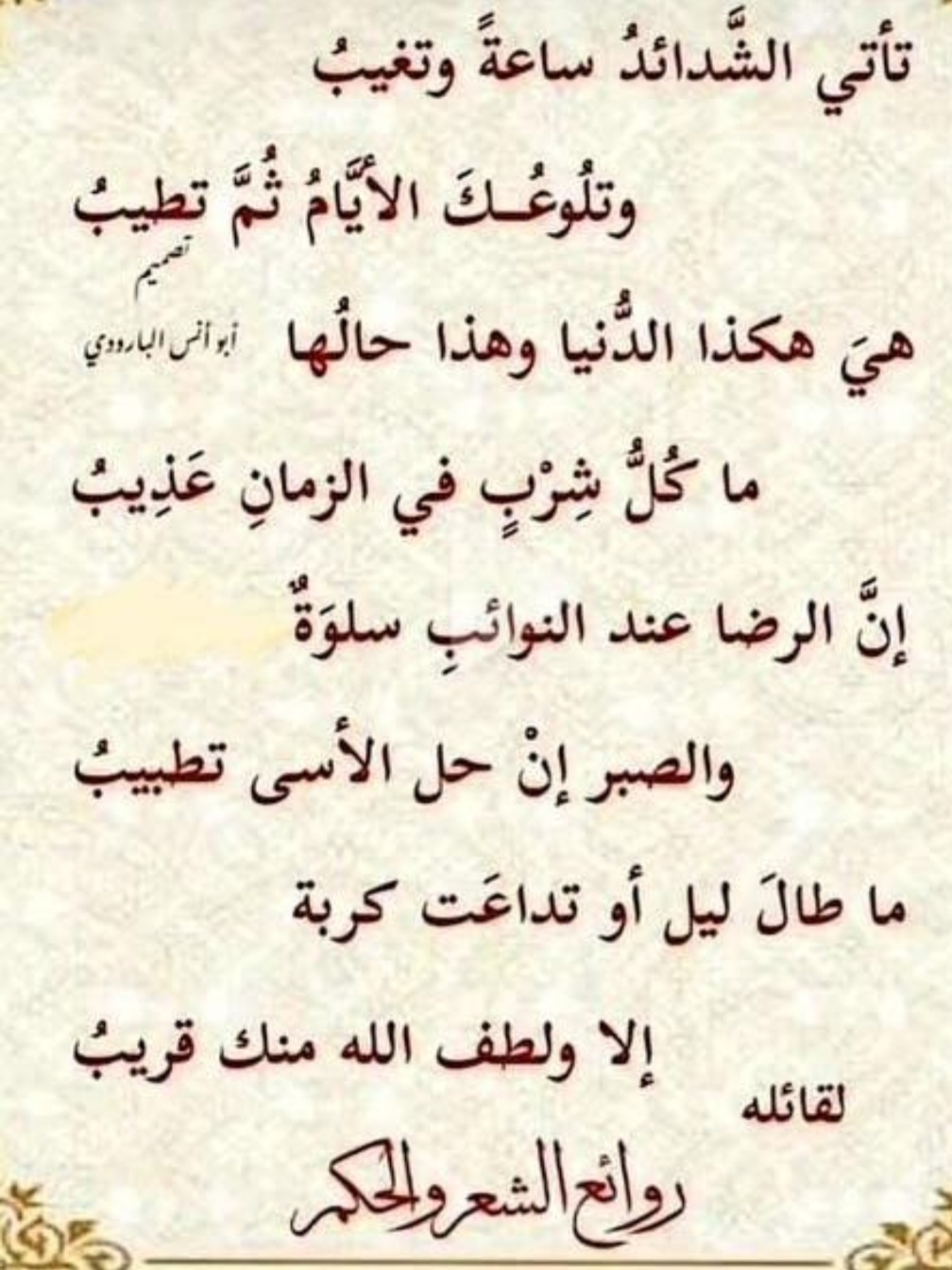 Screenshot_٢٠٢٤١٢٢٩_٠٧٤٨٣٣_Instagram.jpg
