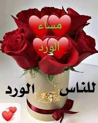 IMG_4340.jpeg