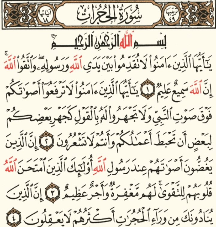 Screenshot_٢٠٢٥٠١١١-٠٣٠٦٥٣_ .jpg