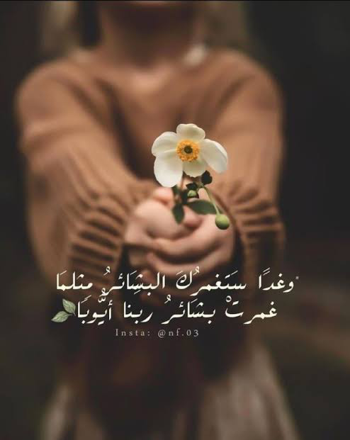 1738091344274.png