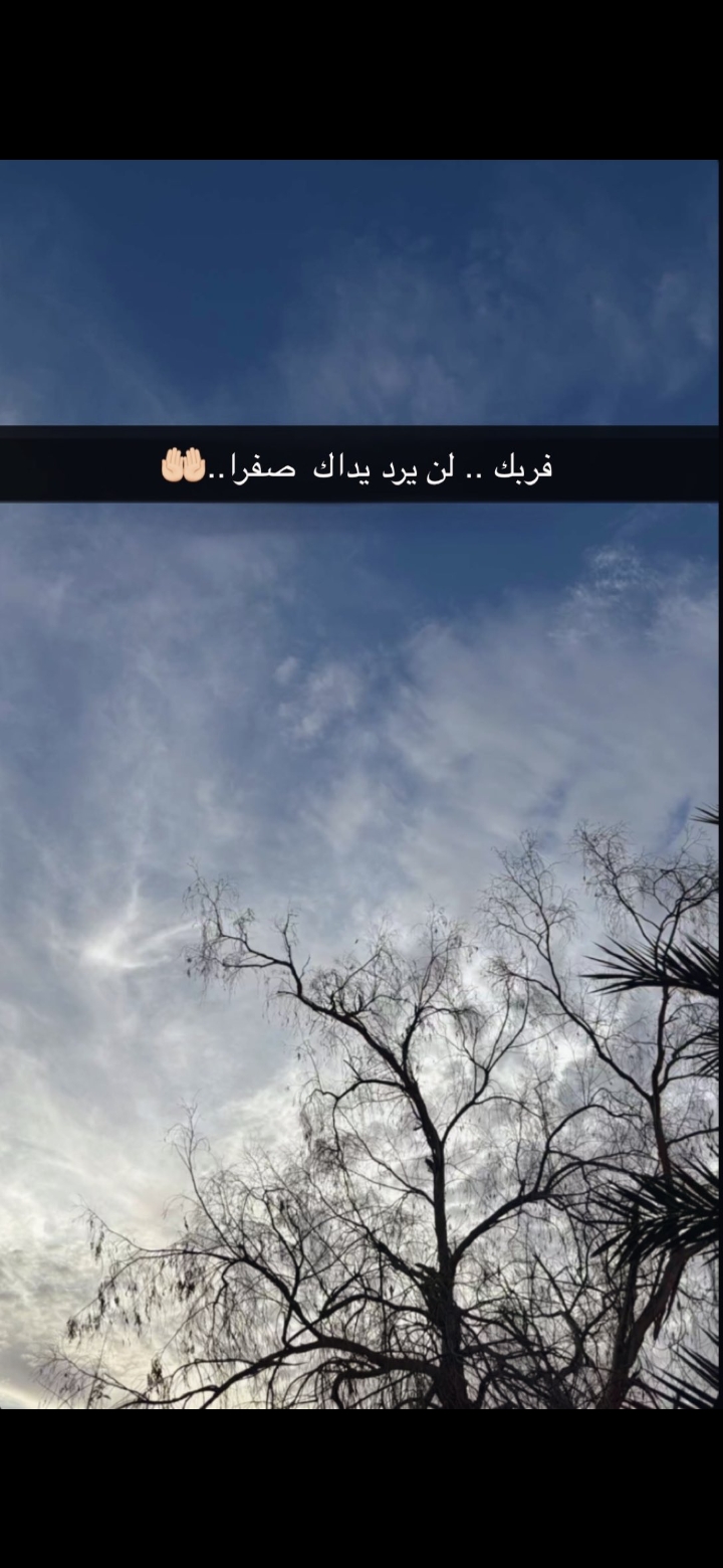 Screenshot_٢٠٢٥٠٢٠٣-٠١٤٤٠٧_X.jpg