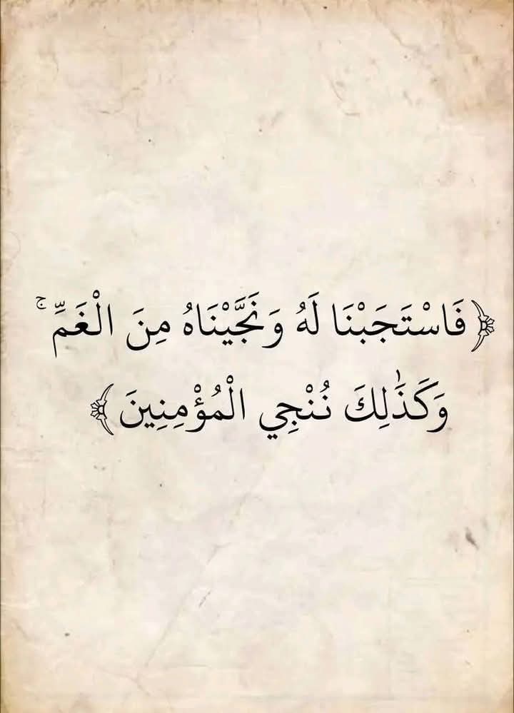 FB_IMG_1738928288513.jpg