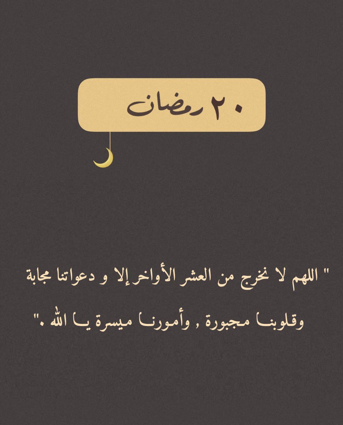 ٢٠٢٥٠٣٢٠_٠٣٠٦٤٨.jpg