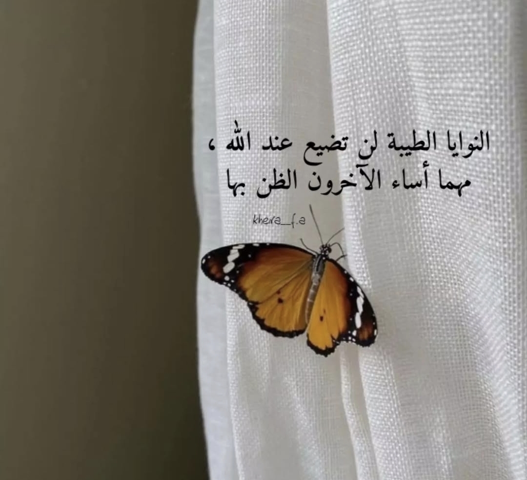 Screenshot_٢٠٢٥٠٤١٦_٠٩٣٤٠٦.jpg
