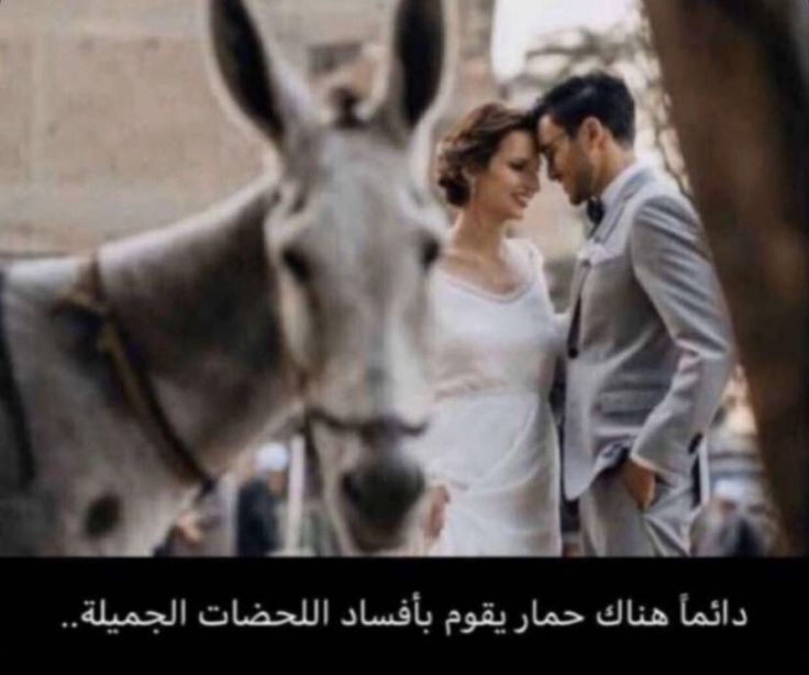 16c234cc0b6816d926102babe28b1c21.jpg