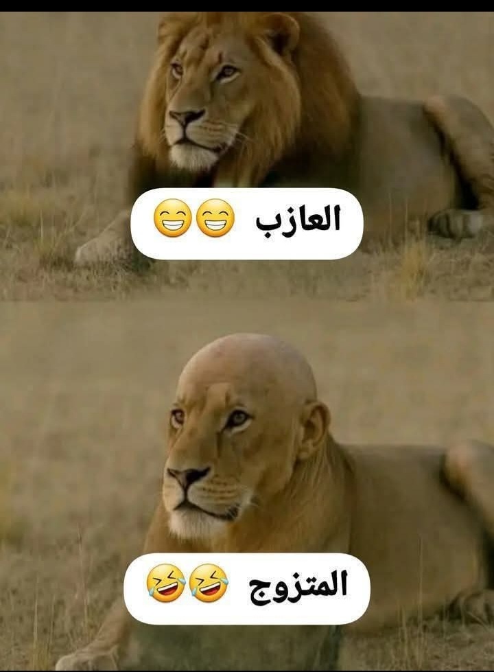 Screenshot_٢٠٢٥٠٤٢٤-٠٦١١٢٧_Facebook.jpg