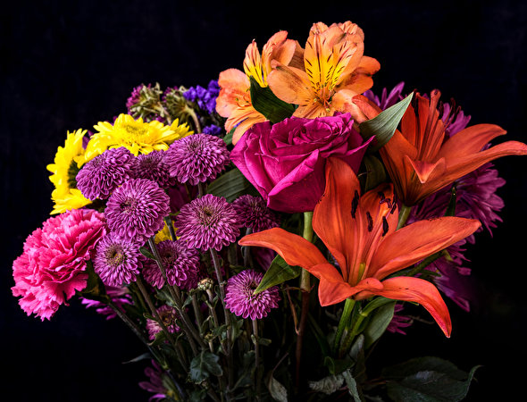 Bouquets_Asters_Lilies_Roses_Alstroemeria_Black_596697_590x450.jpg