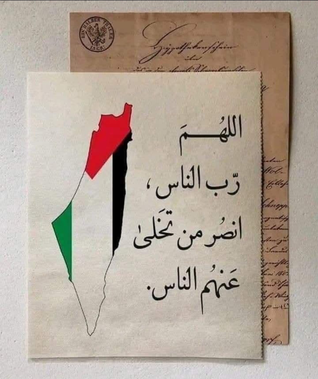 Screenshot_٢٠٢٥٠٦٠١_٠١٤١١١_Gallery.jpg