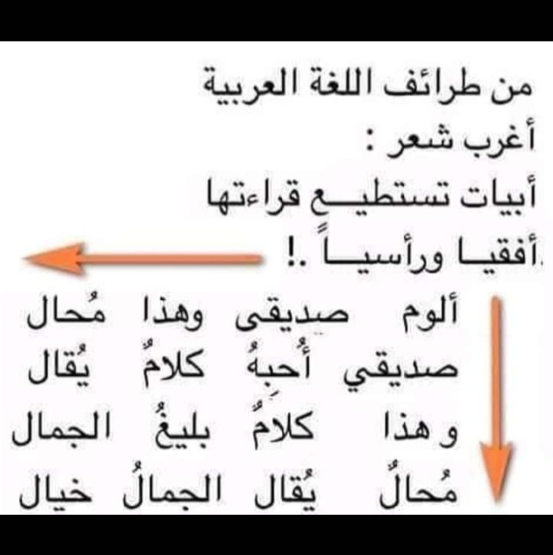 Screenshot_٢٠٢٥٠٥٣١_١٦٢٦٢١_Gallery.jpg