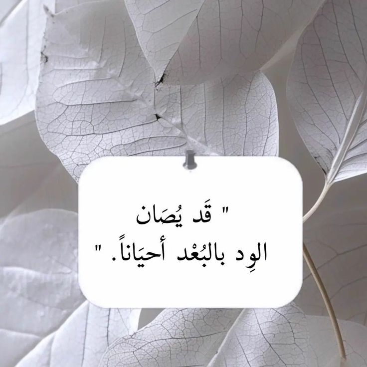 0e1d35edef4e847a3ca829aee4528aad.jpg