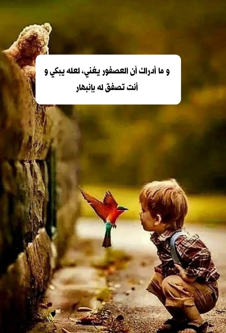 2ea972da47cf5709f28ec1a5d2c8e792.jpg