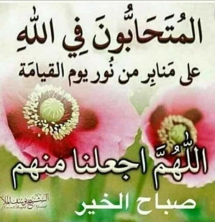 ٢٠٢١١٢٣١_٠٩٠٢٣٧.jpg