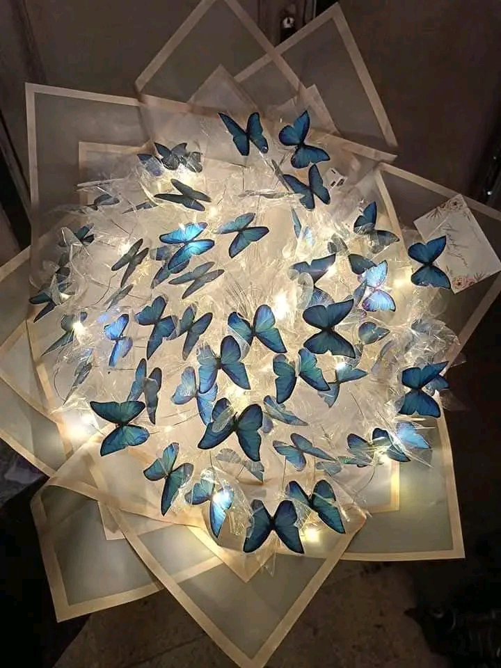 1748373641561.jpg