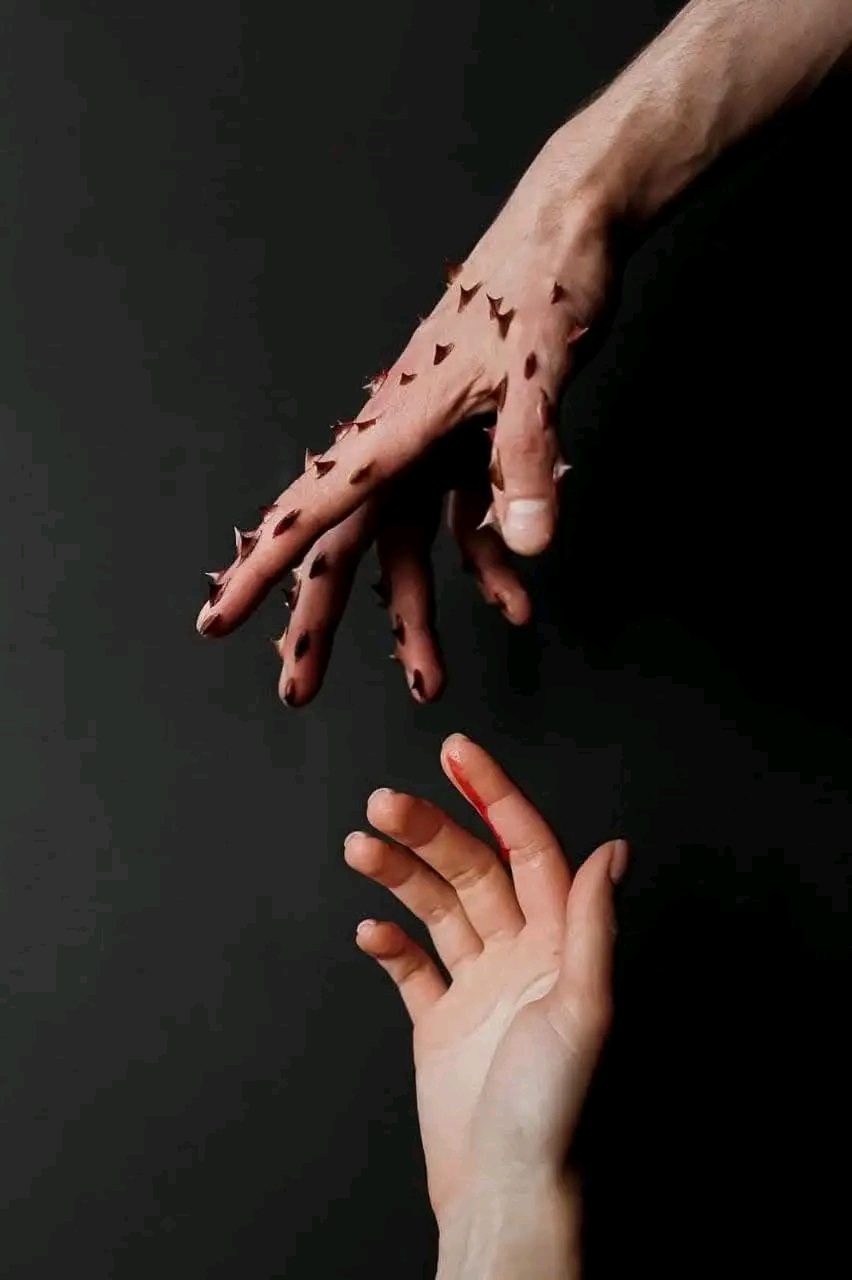 1737657072070.jpg