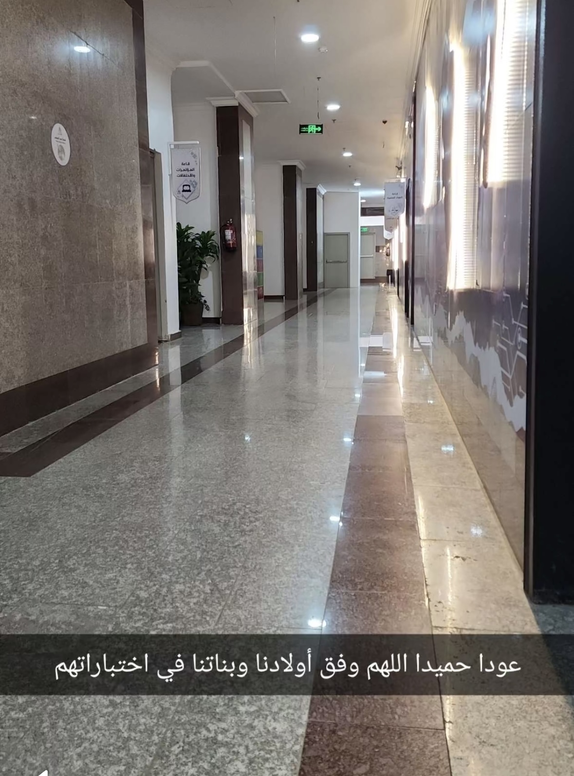 IMG_6644.jpeg