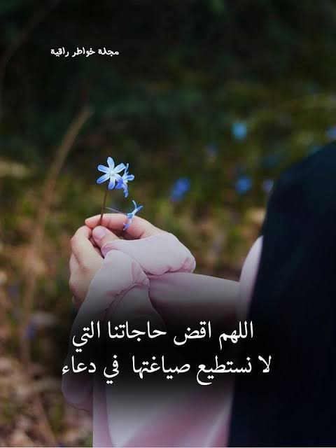 1750266619681.png