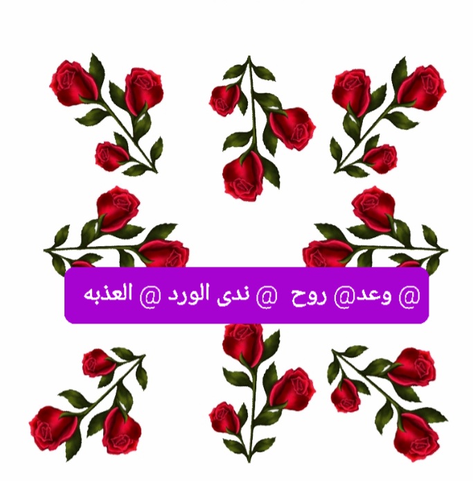 Screenshot_٢٠٢٥٠٦٢١-٢١٥٠٣٦_Chrome.jpg