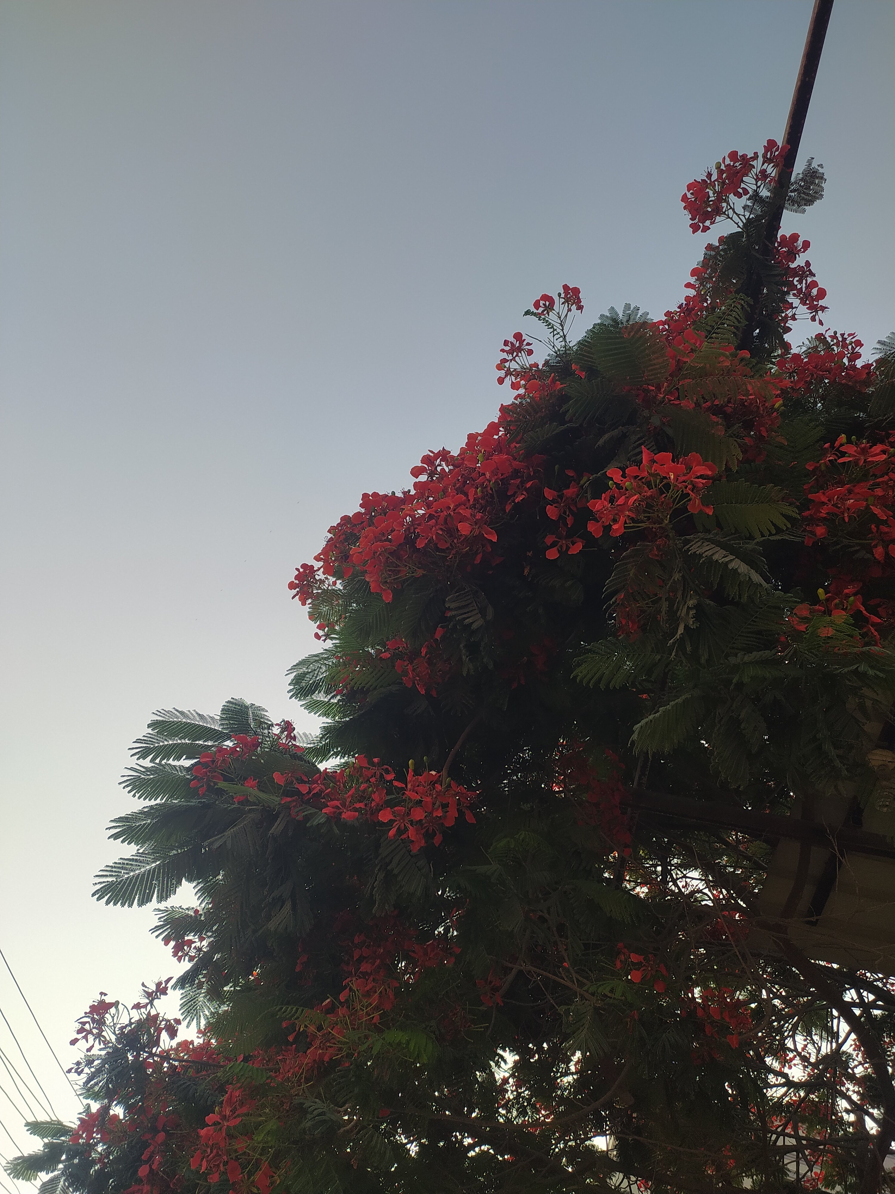 IMG_٢٠٢٥٠٦٢١_١٩١٣٠٧.jpg