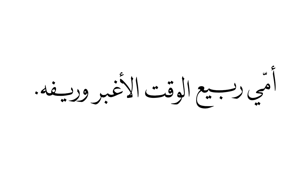 ٢٠٢٥٠٦٢٤_٢٣٥٢٢٠.png