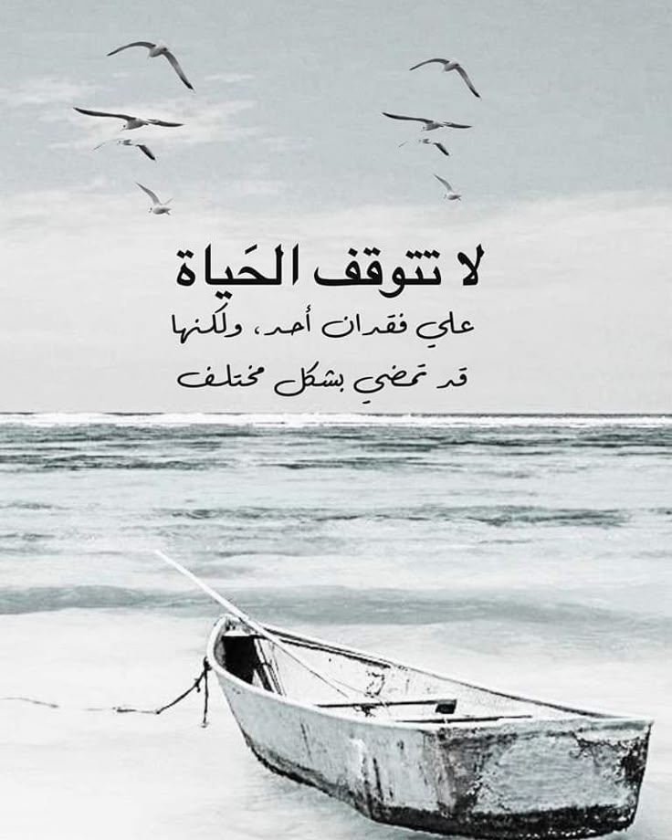 05c9ca96351168c51aae5ef8f648be19.jpg