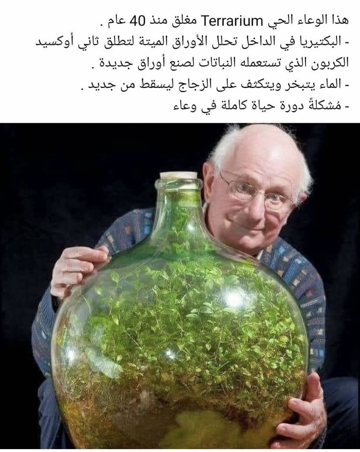 1751203229780.jpeg