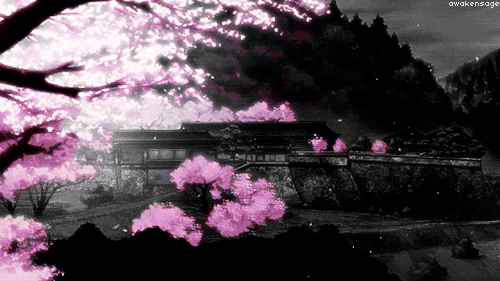 14aad66b004dd19cf52b7b82f3ef64fe.gif