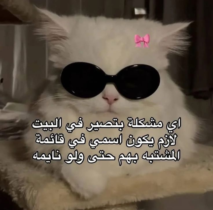 b37624653c5159958abba488acc5f3e2.jpg