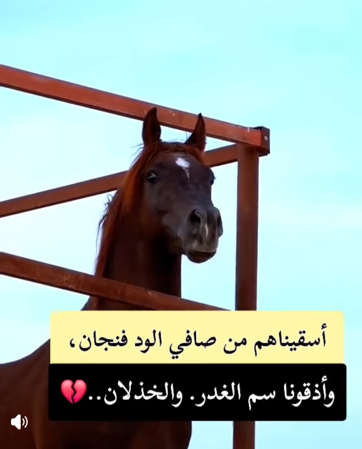 Screenshot_٢٠٢٥٠٧٠٨-١٨٢١١٣_Facebook.jpg