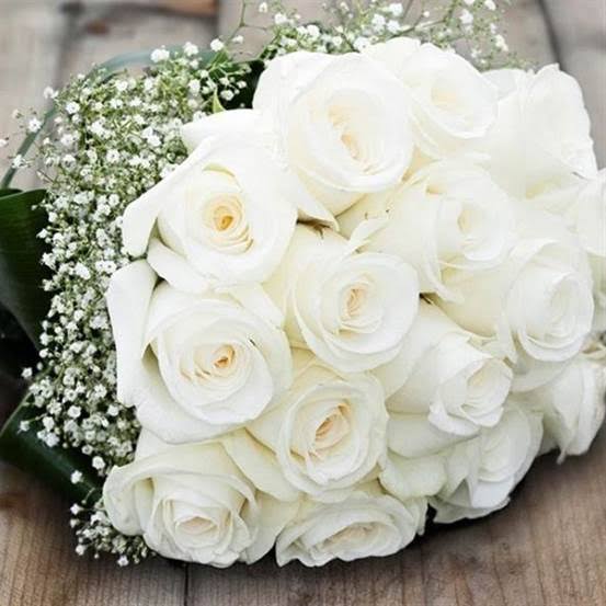 White roses 🌹 ورد ابيض