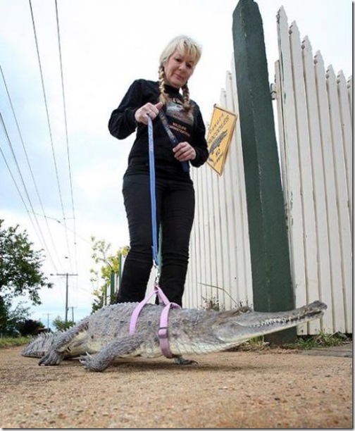 Different Pet Walkers - Rare and Strange Photos (3).jpg