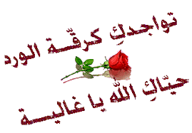 1628749205994.png